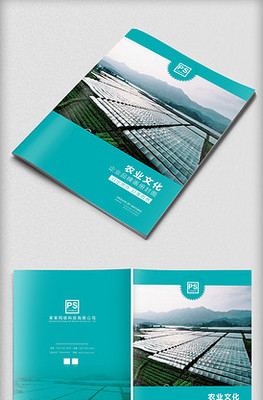 塑造卓越品牌形象 專業(yè)企業(yè)形象策劃服務(wù)與高效PPT模板