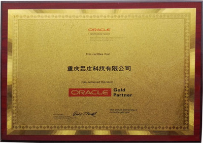 Oracle產(chǎn)品代理與重慶技術(shù)服務(wù) 驅(qū)動(dòng)企業(yè)數(shù)字化轉(zhuǎn)型的本地化力量